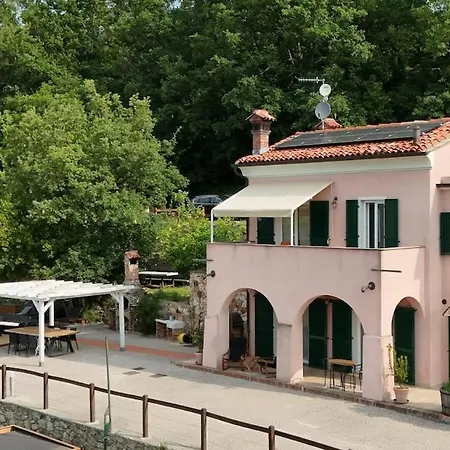 Tra Gli Ulivi E Le Stelle - *