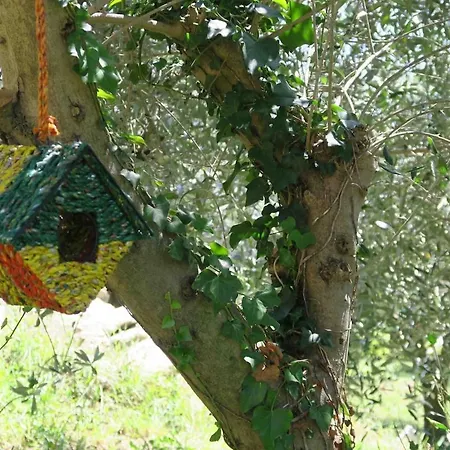 Tra Gli Ulivi E Le Stelle - Appartement