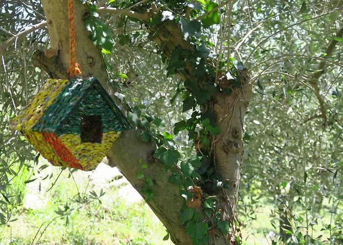 Tra Gli Ulivi E Le Stelle - Appartement