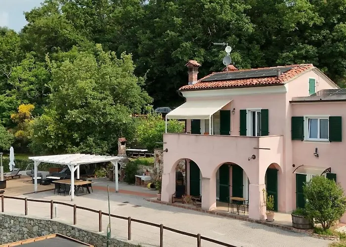 Tra Gli Ulivi E Le Stelle - *